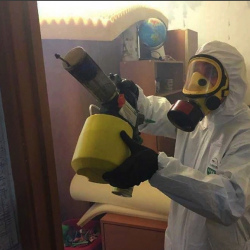 Уничтожение клопов в квартире. Посёлок Дубровка