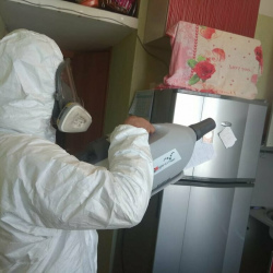 Уничтожение насекомых в квартире. Посёлок Дубровка